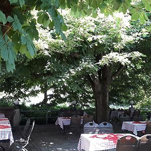 Gasthaus Auerhahn